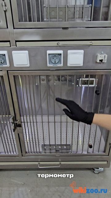 модуль для ветеринарного стационара 5 клеток нержа