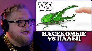 Т2х2 СМОТРИТ: Самые смертоносные насекомые VS палец | ТерраЗелёный Русский
