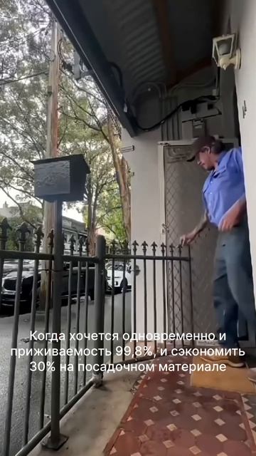 Дешёвое озеленение дорого обходится