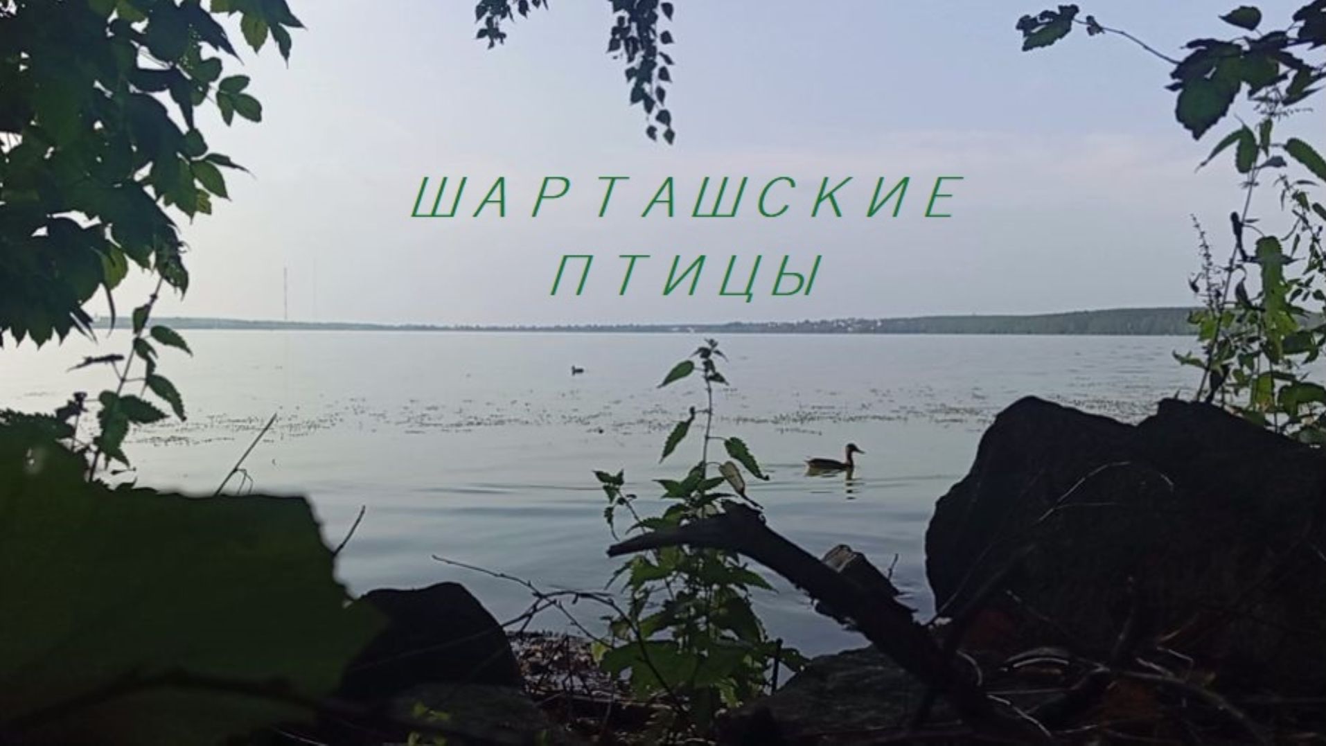 Сергей Знаменский - ШАРТАШСКИЕ ПТИЦЫ 