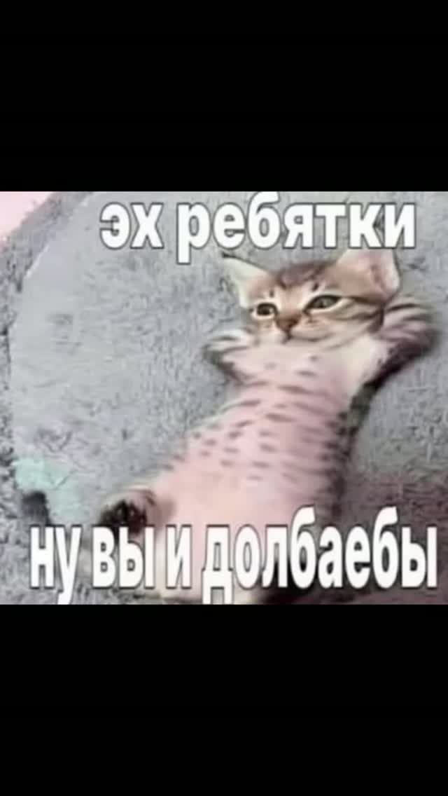 Когда 2 кореша в зале ставят друг другу технику