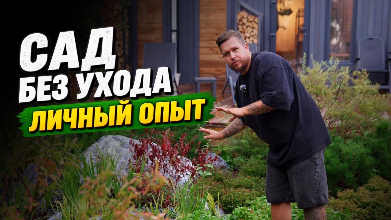 Первый малоуходный сад в моей практике. Обзор дачи Land Blog