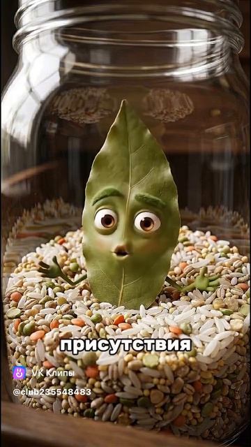 Лавруша выручает)