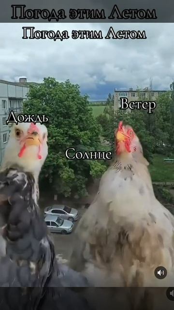 Вот такая погода 😂