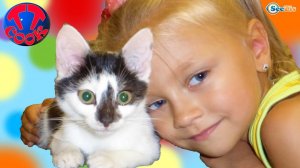Ярослава играет с котенком. Видео для детей. Котенок Барсик - новый питомец Ярославы