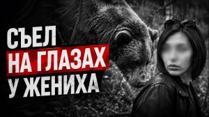 Трагедия на Алтае: Медведь растерзал туристку из Новосибирска на территории турбазы