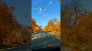Любовь она ведь не спросит...