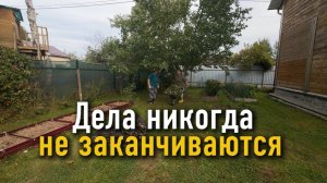 В огороде дела никогда не заканчиваются