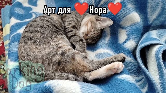 Арт для ❤Нора❤