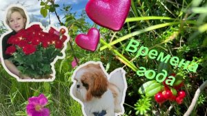 💕🌞 Времена года ✨ Релакс ✨ Отдых и расслабление ✨🌸 Любителям природы