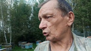 Подготавливаем пчелосемьи для дальнейших осенних работ .
