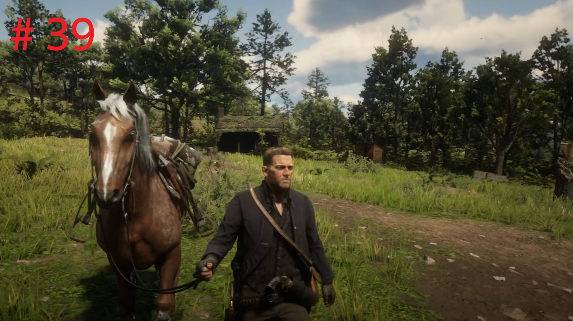 Red Dead Redemption 2 # 39
