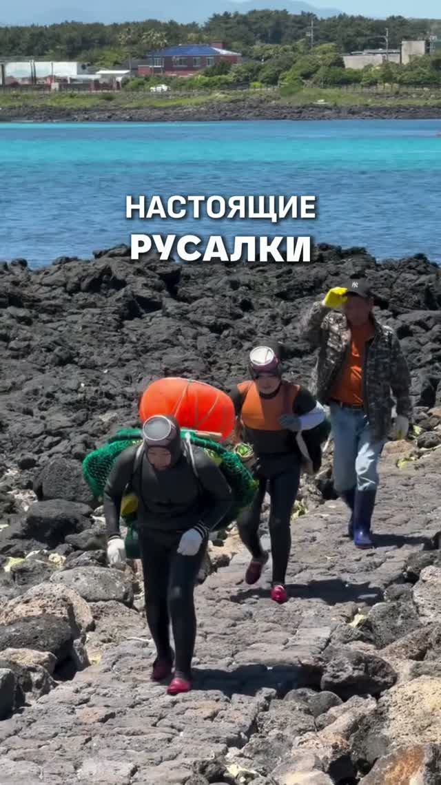 БАБУШКИ-НЫРЯЛЬЩИЦЫ В КОРЕЕ 🤿
