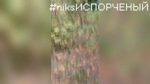 СЫГРАЛИ В ПРЯТКИ В ПАРКЕ!