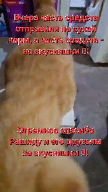Огромное спасибо Рашиду и его друзьям!!!