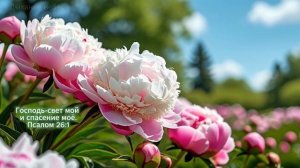 ИСЦЕЛЯЮЩАЯ МУЗЫКА «В БОЖЬЕМ ПРИСУТСТВИИ» Музыка для молитвы / пропитка / созерцание