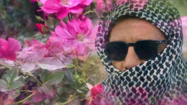 Преемник зов предков 8 серия русская озвучка Турецкий сериал 2025 Halef Köklerin Çağrısı. Обзор