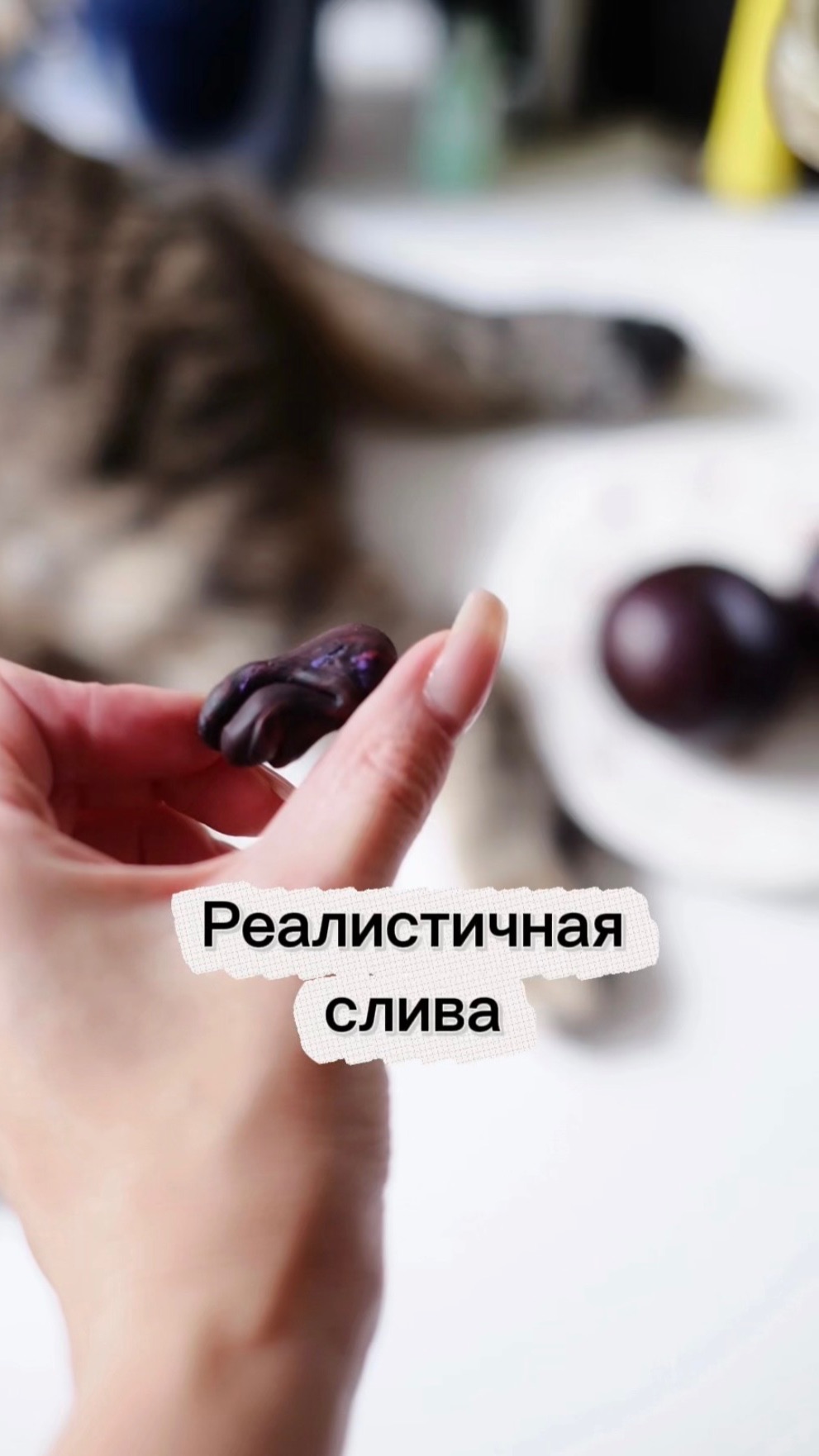 Слива из полимерной глины