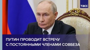 Путин проводит встречу с постоянными членами Совбеза
