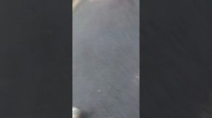 футбол