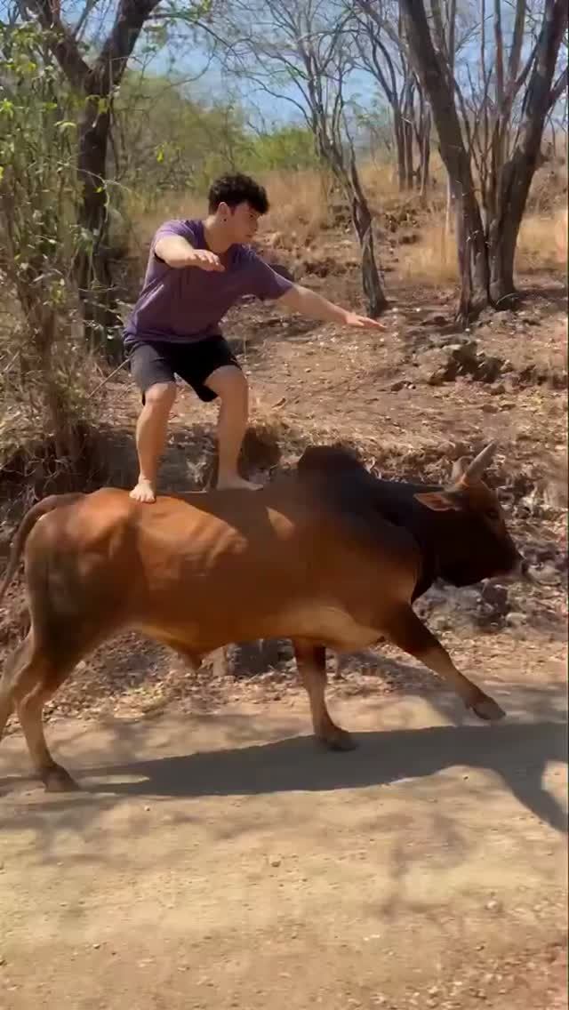 Экстремальный вид спорта
