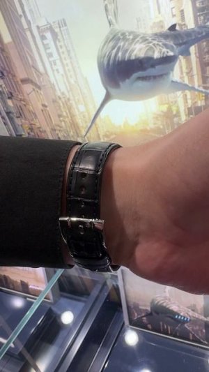 Ulysse Nardin 3203-136-2/E2