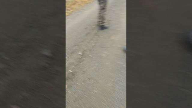 часть два извините кнопку задел