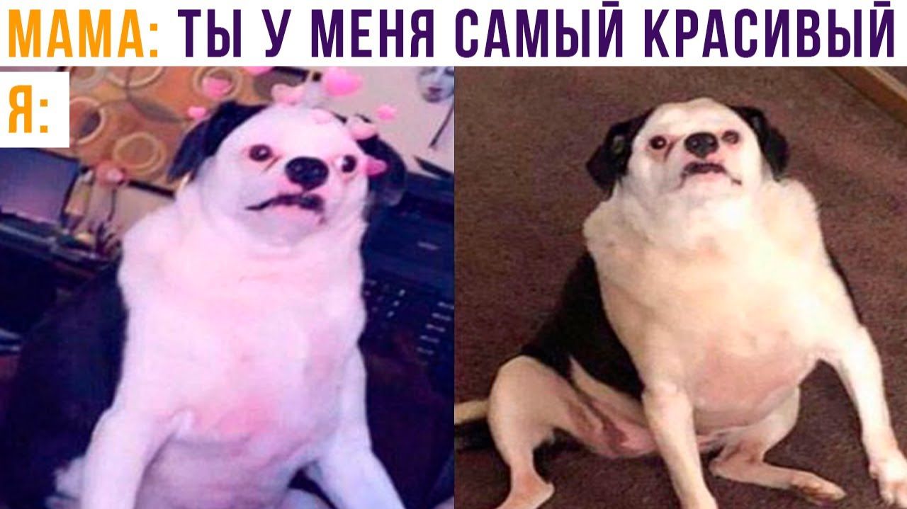 КАКОЙ КРАСАВЕЦ))) Приколы