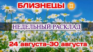 БЛИЗНЕЦЫ♊Недельный расклад 24-30 АВГУСТА /Таро Прогноз/Сферы жизни