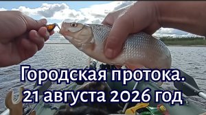 Якутск. Городская протока. 21 августа 2026 год