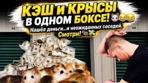 Я купил складское помещение за 800 долларов! / А там ДЕНЬГИ и КРЫСЫ !