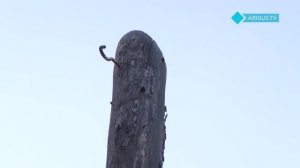ПОЛНОЕ ПРОЦВЕТАНИЕ «СУПЕРРЕСПУБЛИКИ»