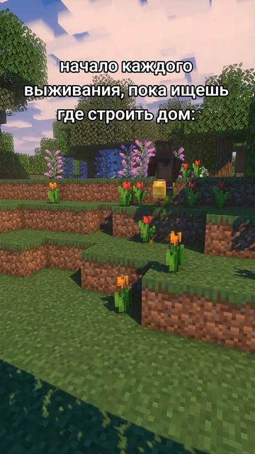 не придумал 2 : Майнкрафт :