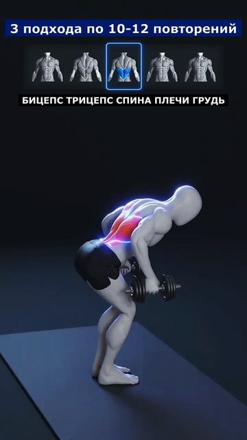 Верхняя часть тела с Гантелями