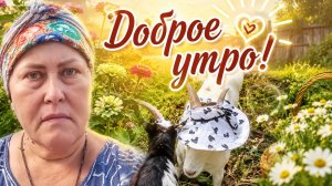 Доброе утро