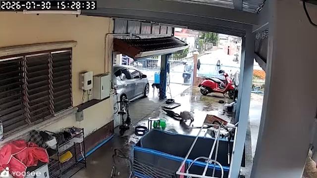 Самые Неожиданные Моменты Снятые на Камеры Наблюдения