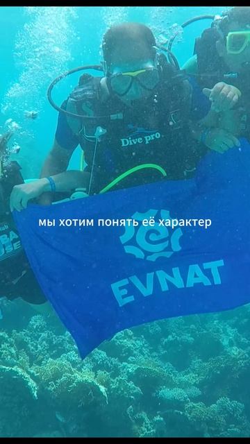Красное море Египет PADI