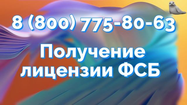 Лицензия ФСБ РФ. Поможем переоформить и продлить