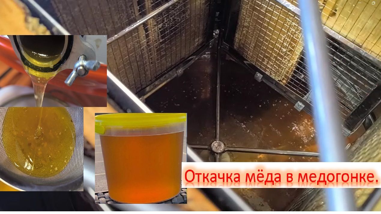 Откачка мёда в медогонке: пошаговый процесс. Медогонка в деле. Как проходит откачка мёда.