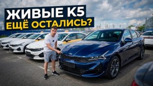 Kia K5 ПО ЦЕНЕ НОВОЙ ВЕСТЫ — как такое возможно?