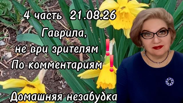 4 часть. Гаврила, НЕ ВРИ зрителям❗️По комментариям❗️