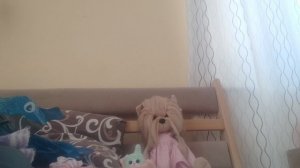 Как ухаживать за собачками Lucky doggy💕
