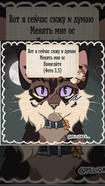 Коты воители (описание)