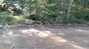 ТИХАЯ ОХОТА НАЧАЛАСЬ 🍄🍄🍄