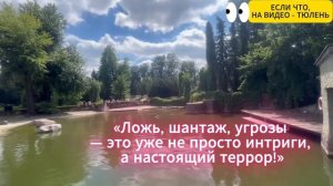Кума - Другая Жена 92-93 серия русская озвучка (Турецкий сериал 2025) Обзор. Дата выхода
