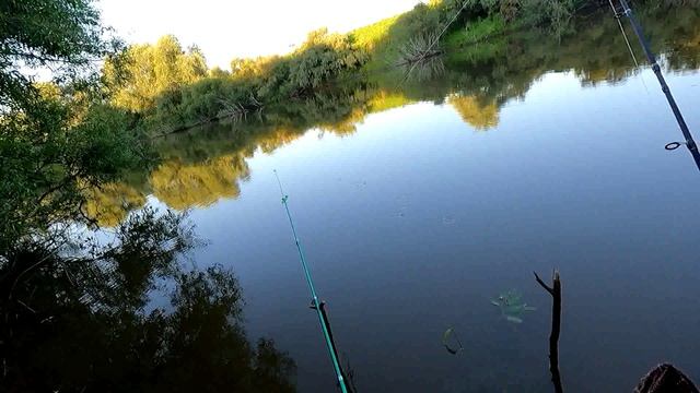 Рыбалка в кайф, крупный лещ.