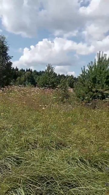 д. Бурмакино 50:18:0050410:990