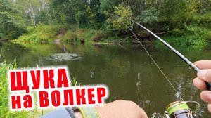 НЕЗАБЫВАЕМЫЕ ПОКЛЁВКИ!!! РЫБАЛКА НА ВОЛКЕР/УОКЕР!!! Спиннинг CF Strike 672 ULT 1.5-7гр.
