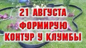 21 августа. Посадила флоксы. Создаю контур у новой клумбы