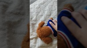 филя